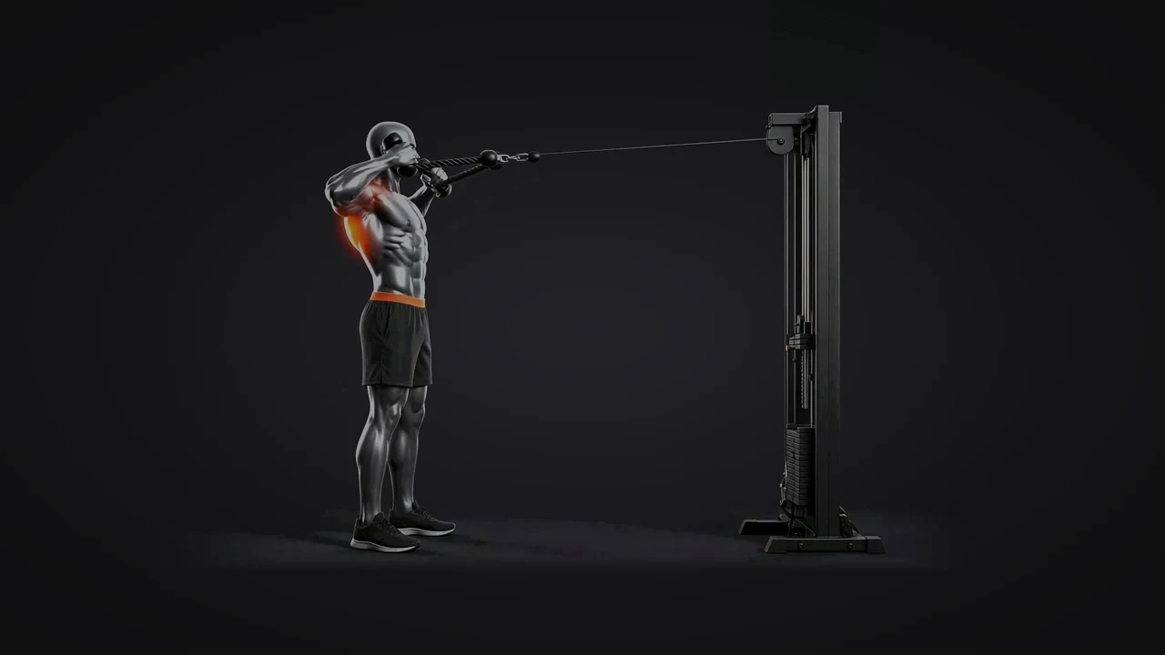 Demo still: cable face pull.