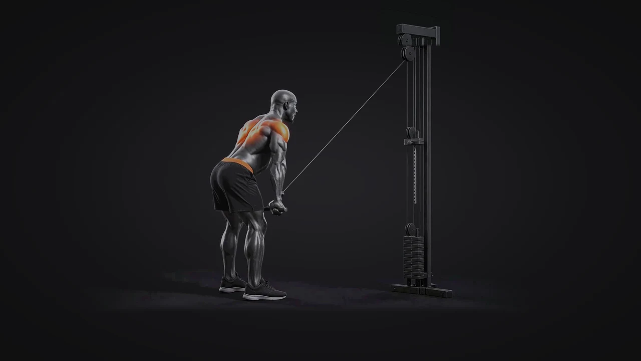 Demo still: straight-arm pulldown.